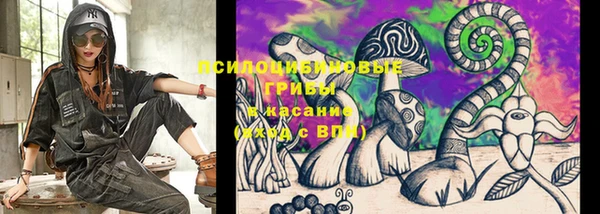 метадон Арсеньев