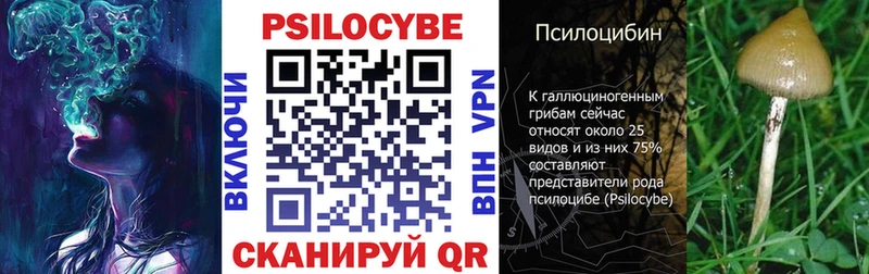 Галлюциногенные грибы Psilocybe  кракен сайт  Правдинск 