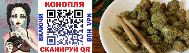 закладка Правдинск Канабис планчик